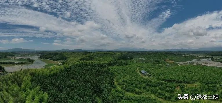 缤纷水果季即将开始！来建宁释放夏日多巴胺