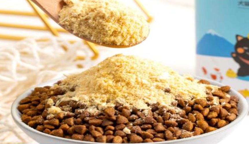 猫咪只喝水不吃东西怎么办,猫咪走丢两天回来无精打采只喝水