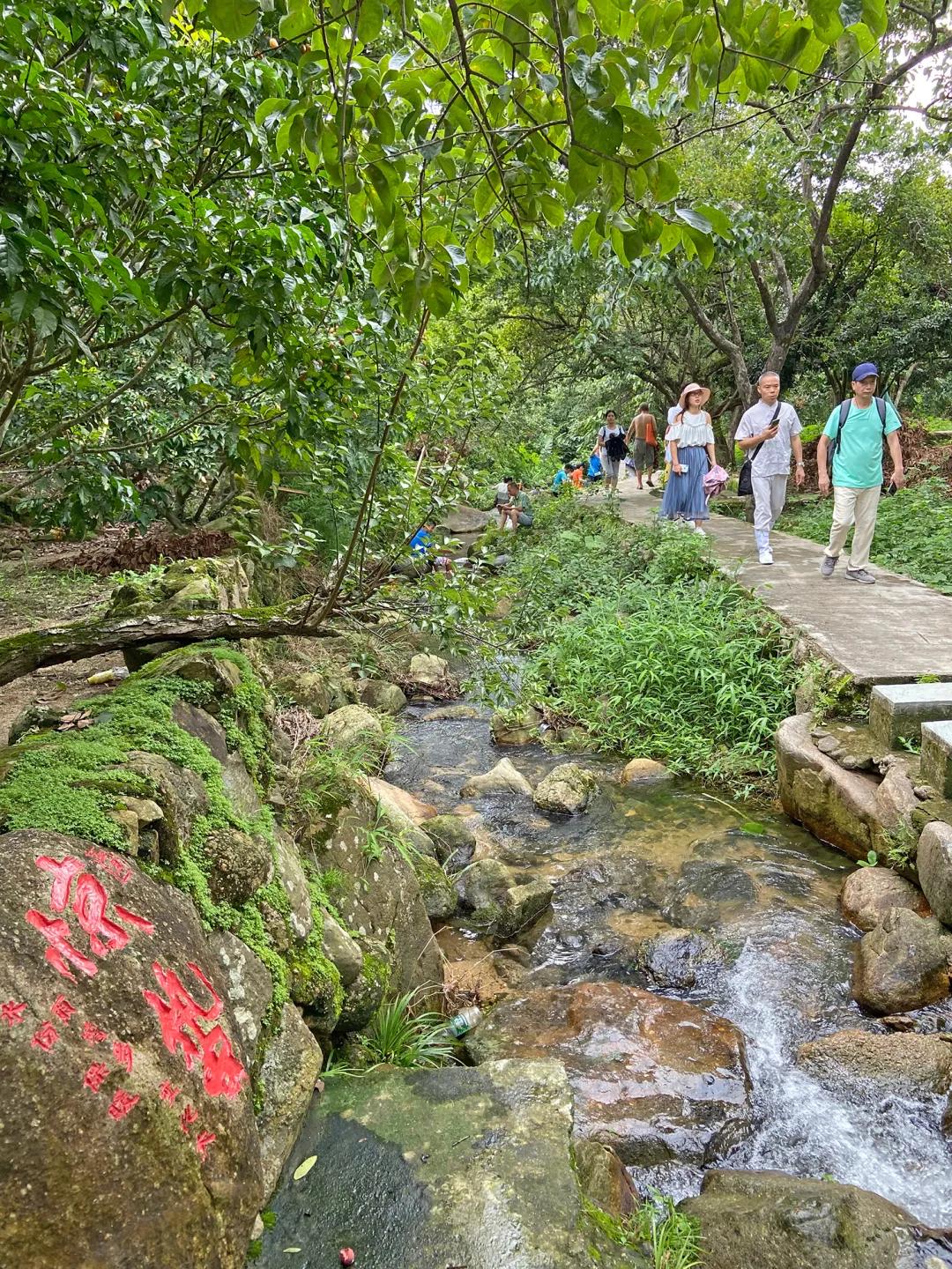 从化东成荷花园,从化摘荔枝之旅