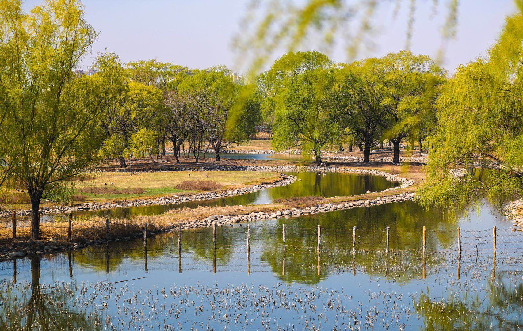 大红门西红门,旧宫大红门