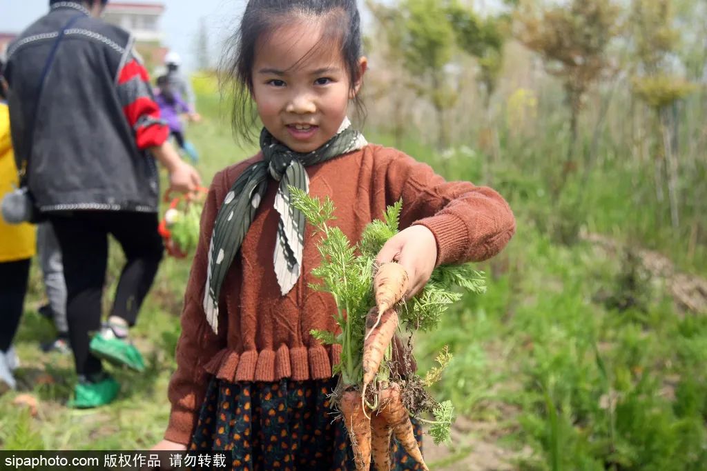 北京秋季采摘最全攻略,春日踏青采摘