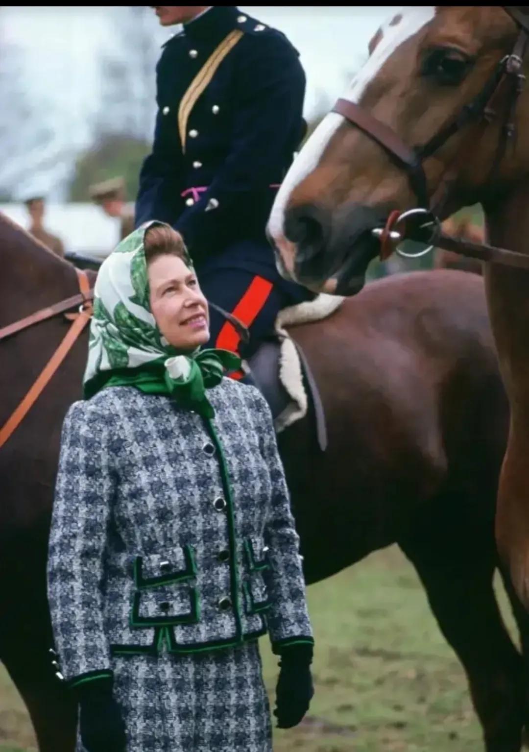 女王的教室日剧全集免费观看,女王的家韩剧全集大结局