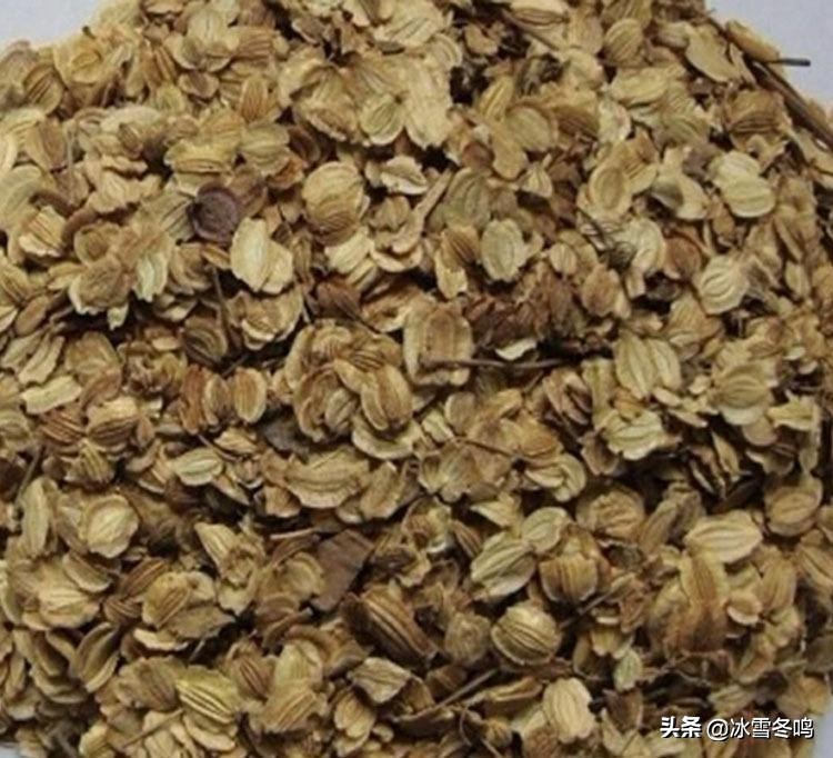 独活籽作用,独活籽的功效与作用