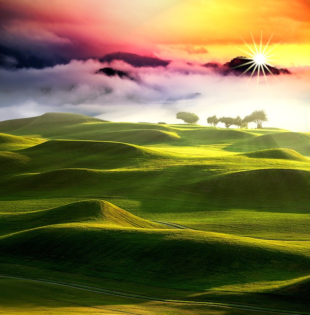 devotecontribute的区别,contribute和devote的区别