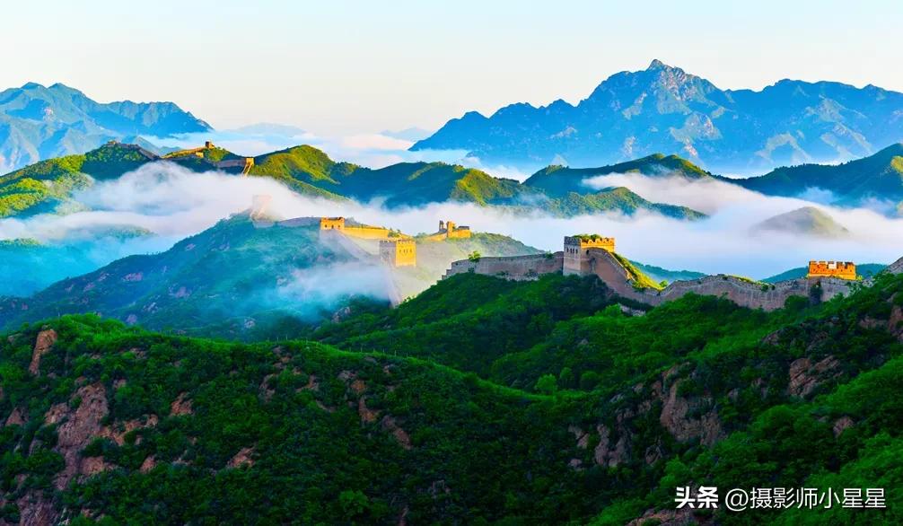 夏天绿色之美,夏天的绿色之美