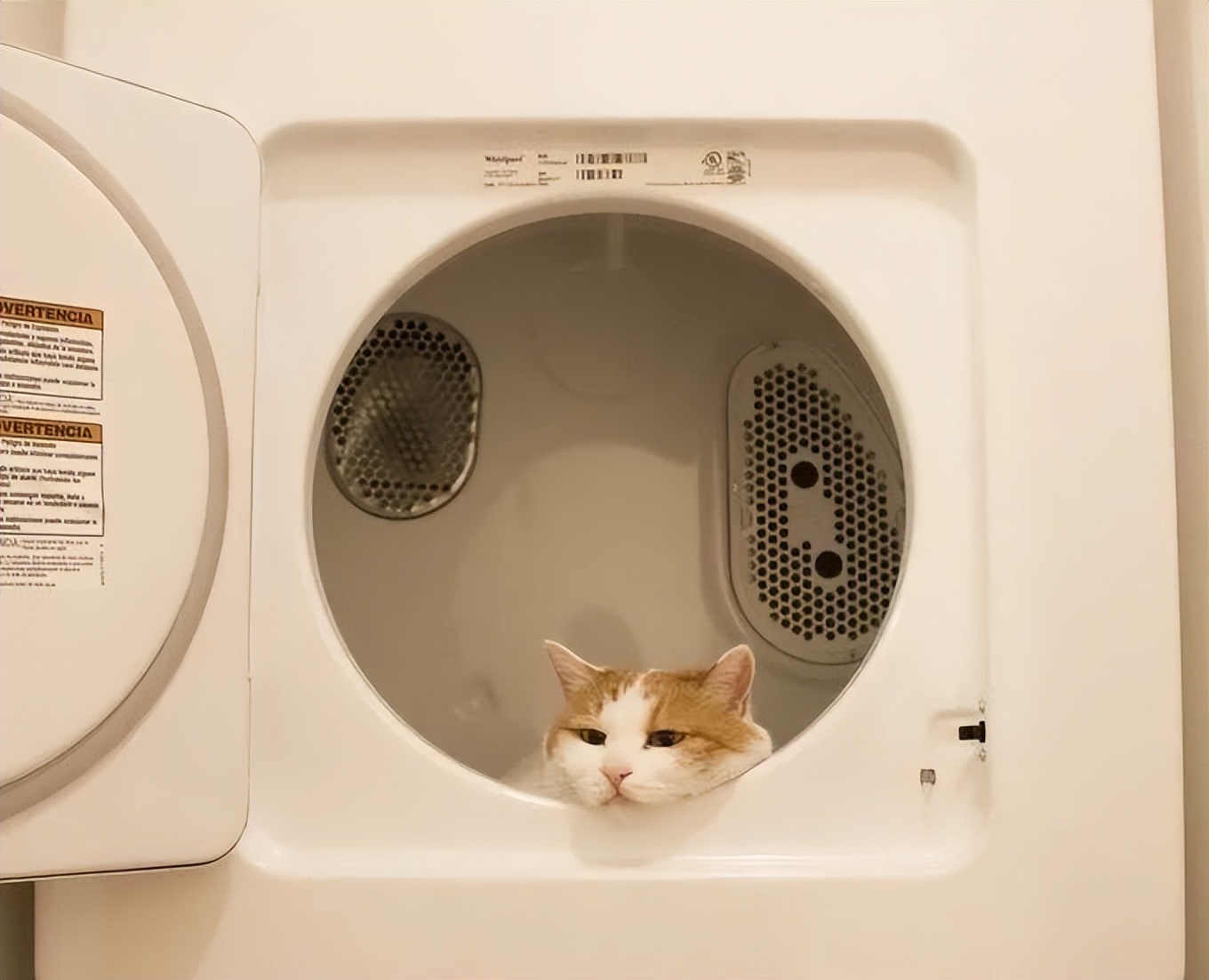 都没有变心但就是不想谈恋爱了,心还会动但不需要爱了