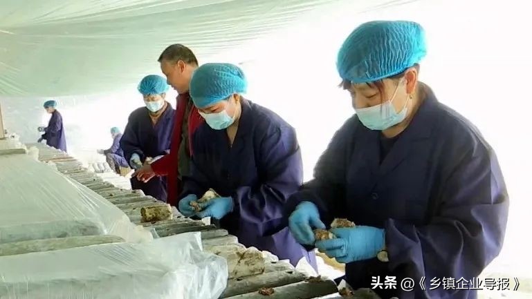 乡村振兴电商助农图片,乡村振兴助农计划项目商业模式