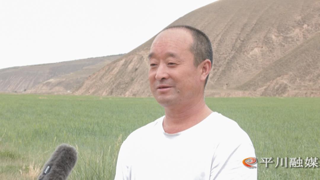 高水平农业合作助力乡村振兴,朔州市发展特色农业助力乡村振兴