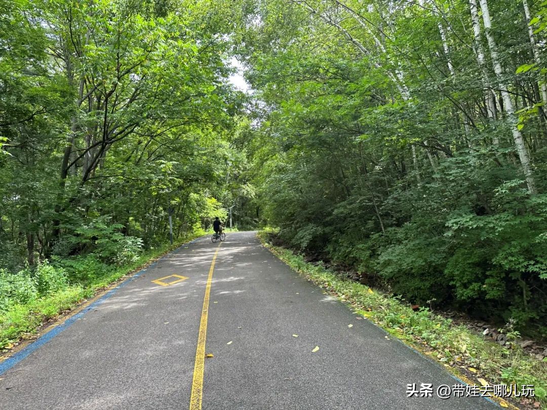 长白山二道白河旅游攻略7月游,自驾二道白河长白山旅游攻略