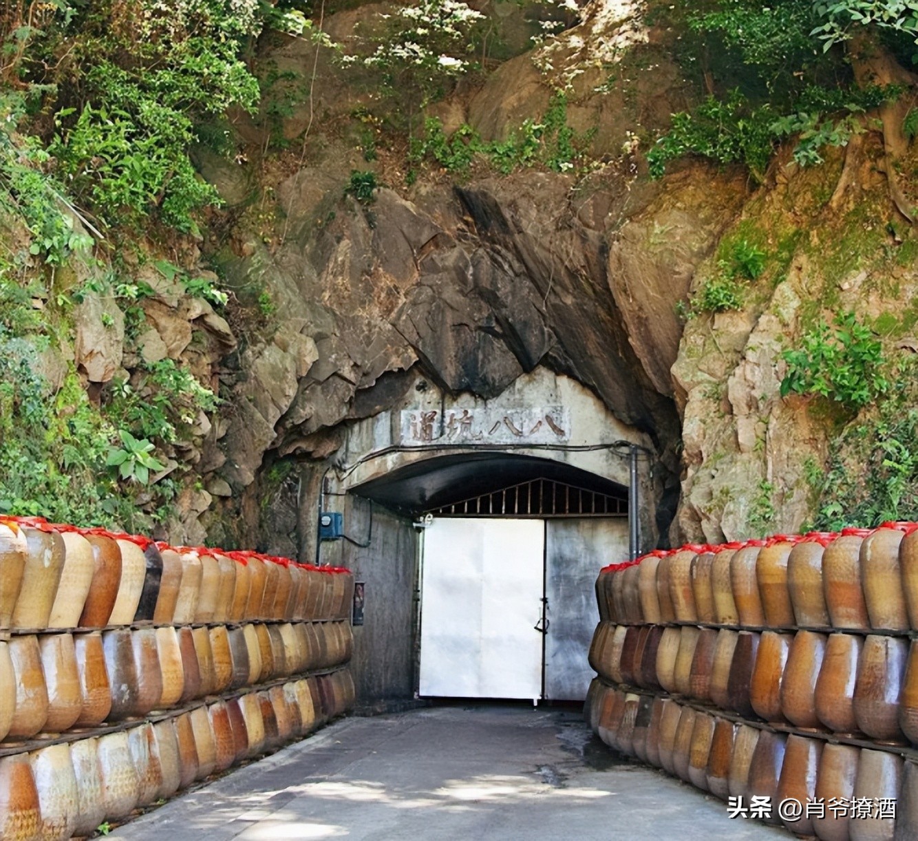 台湾经典茅台酒,茅台百元系列性价比最高的酒