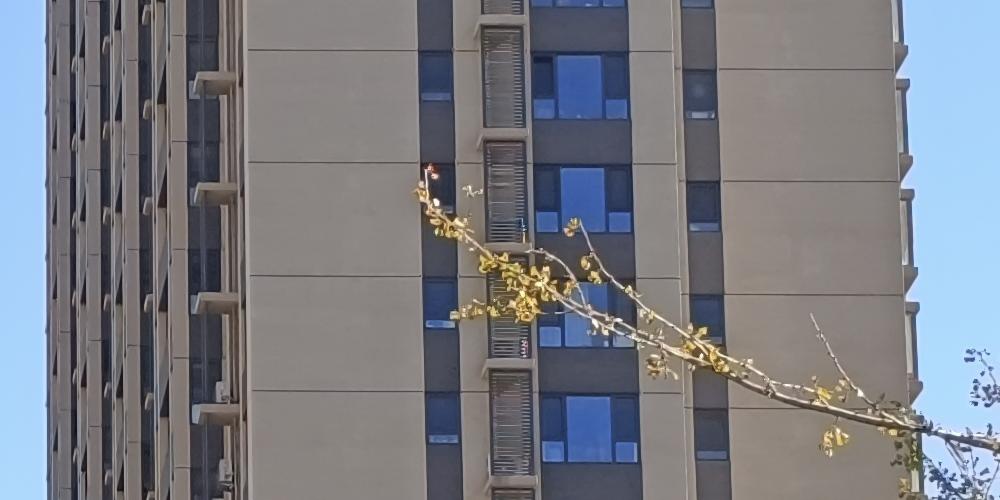 redminote11发布会拍照,redminote11拍照效果好吗