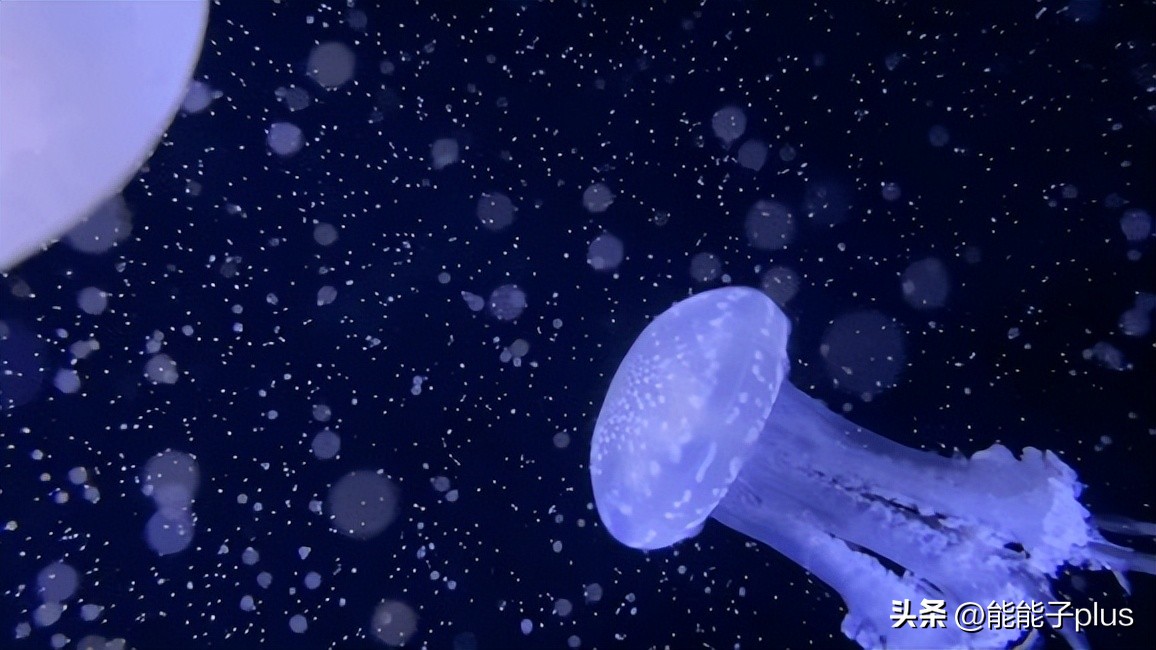 iphone12相机美颜怎么开,iphonex相机最佳设置