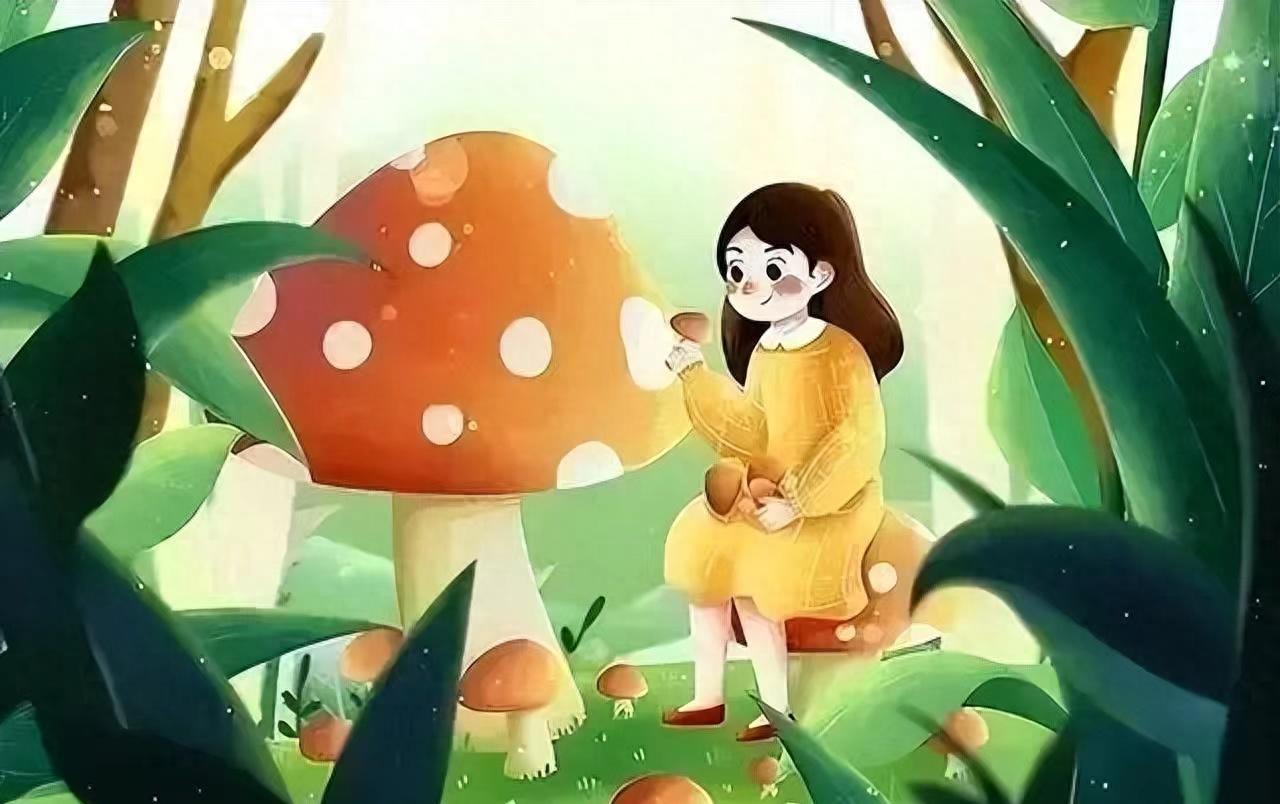 茶叶10斤,10斤以上茶叶