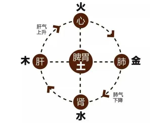 治疗胃食管反流中药有哪些,ppi治疗胃食管反流疗程