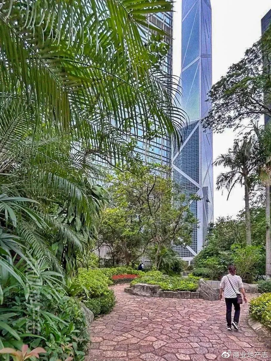 CRR杂谈|HK7日,我与7个香港商业人的深聊记录