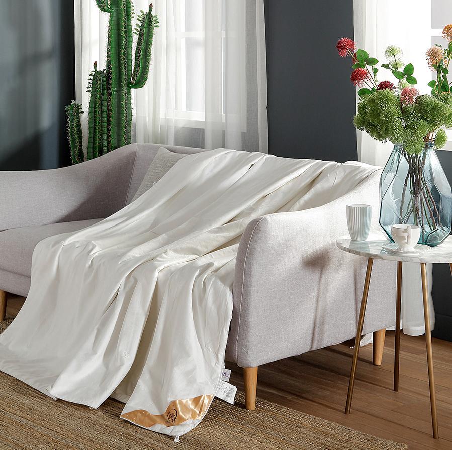 蚕丝被100桑蚕丝真假,网上买蚕丝被怎么鉴别真假