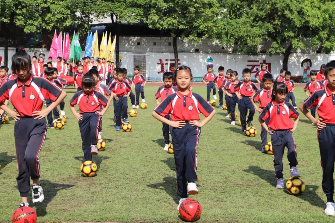 逐梦绿茵晨光足球赛,逐梦绿茵足球联赛