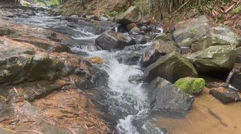 广州室内避暑的地方,广州夏日避暑胜地
