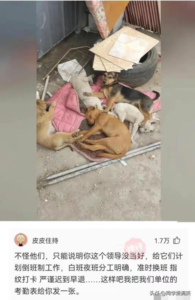 “是小蛇出了轨，还是青蛙劈了腿？”这是现实版的美杜莎？哈哈