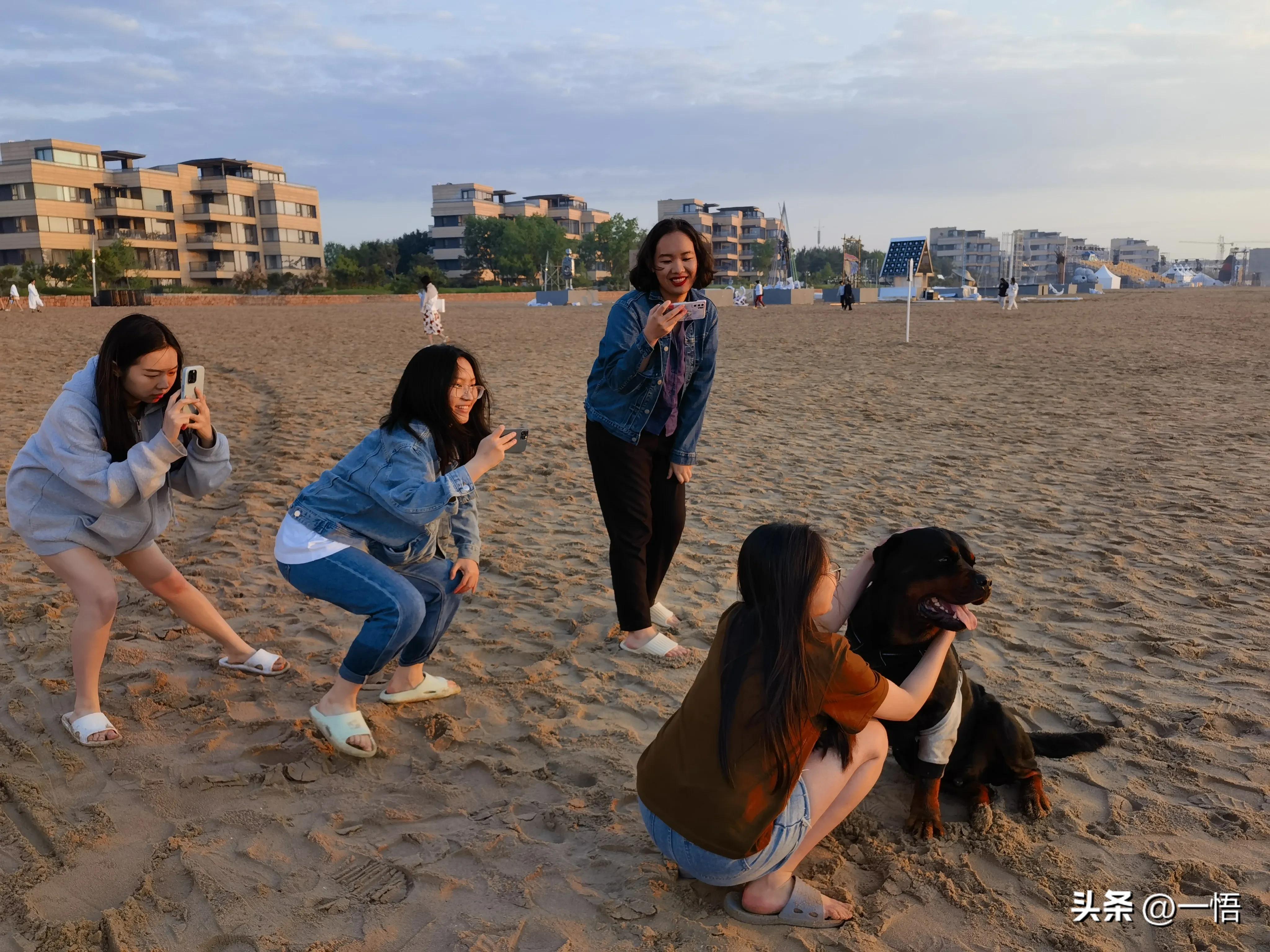 2023上海到秦皇岛承德十日游第四天：看阿那亚的海，逢犬舍的安娜