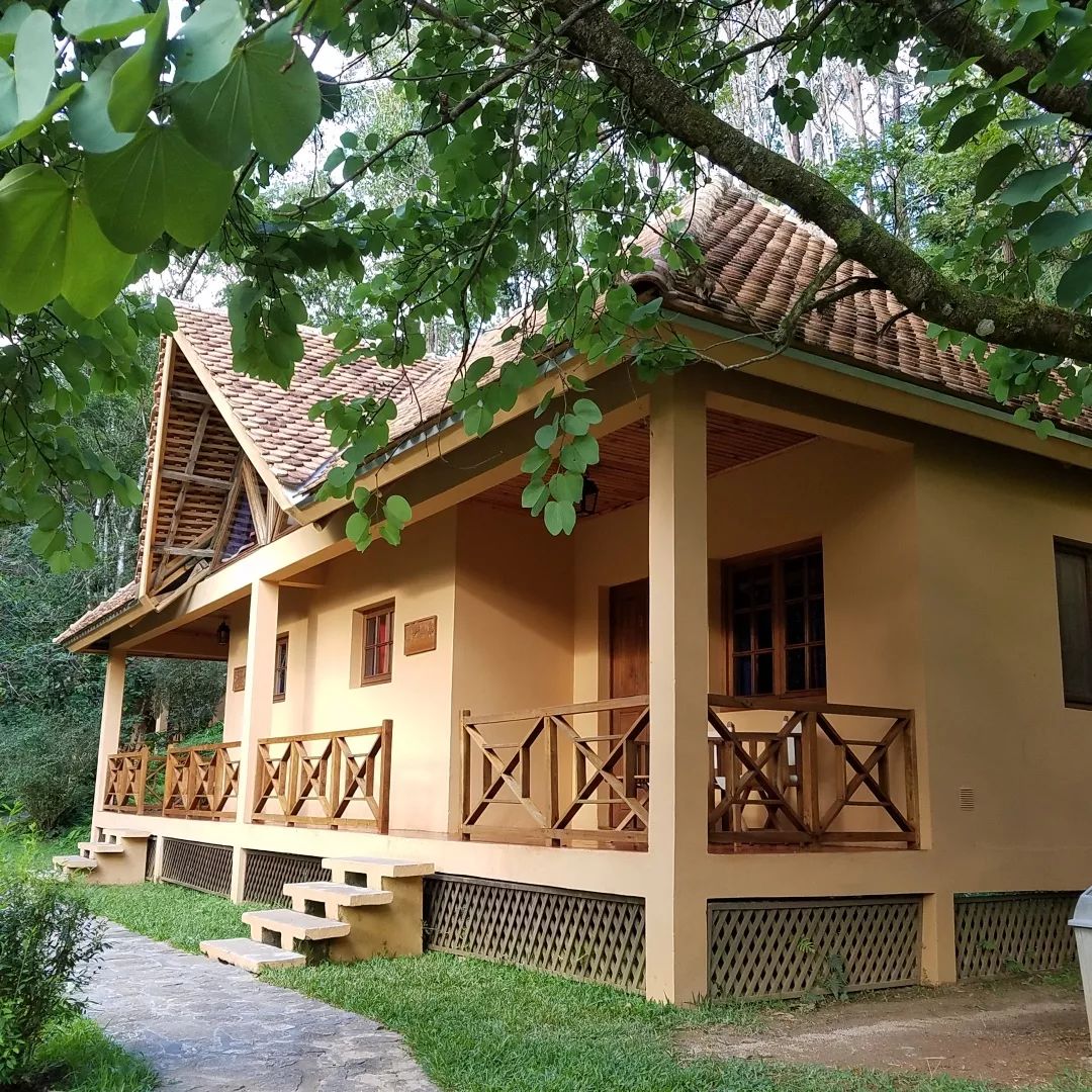 可爱妖娆的小精灵，超过瘾|这里的狐猴也太好撸了吧！