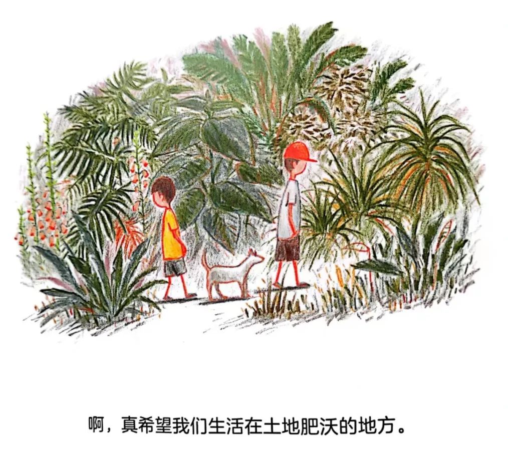 散步绘本小熊,散步疗愈电子书