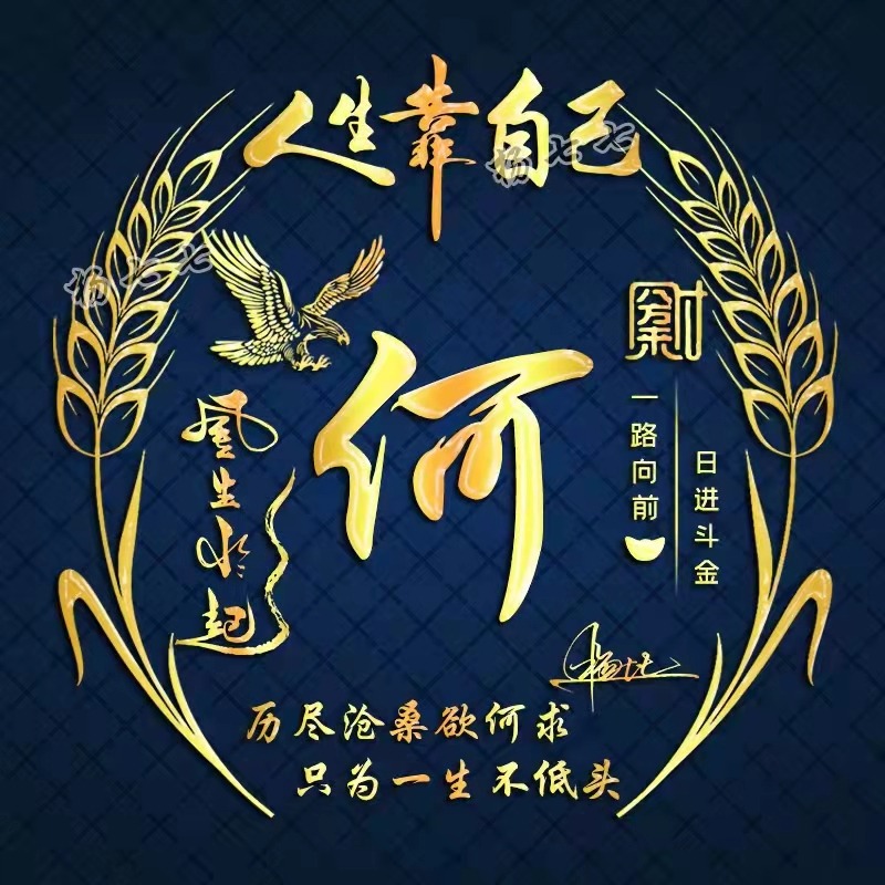 微信头像2020最火微信头像姓氏3d,个性高姓氏的微信头像好看