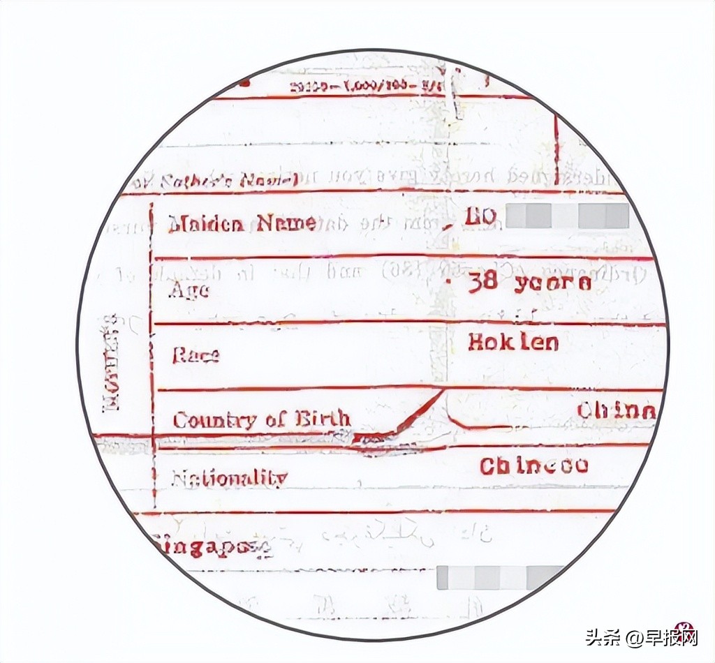 电子出生证不再注明父母籍贯会馆担心新加坡华人渐“忘根”