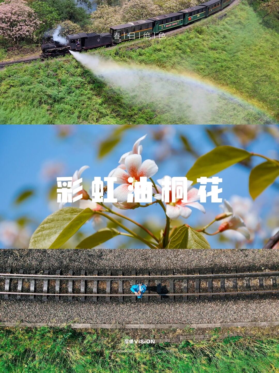 成都芍药花海景区,成都市内芍药花海