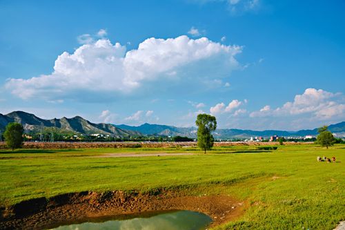 老人三种礼不宜送,老人送礼送什么样的礼