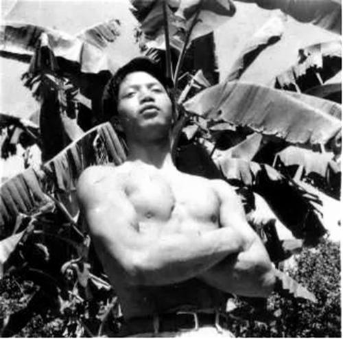 知青上山下乡真实遇见狼的事件,知青下乡是属于哪个大事件