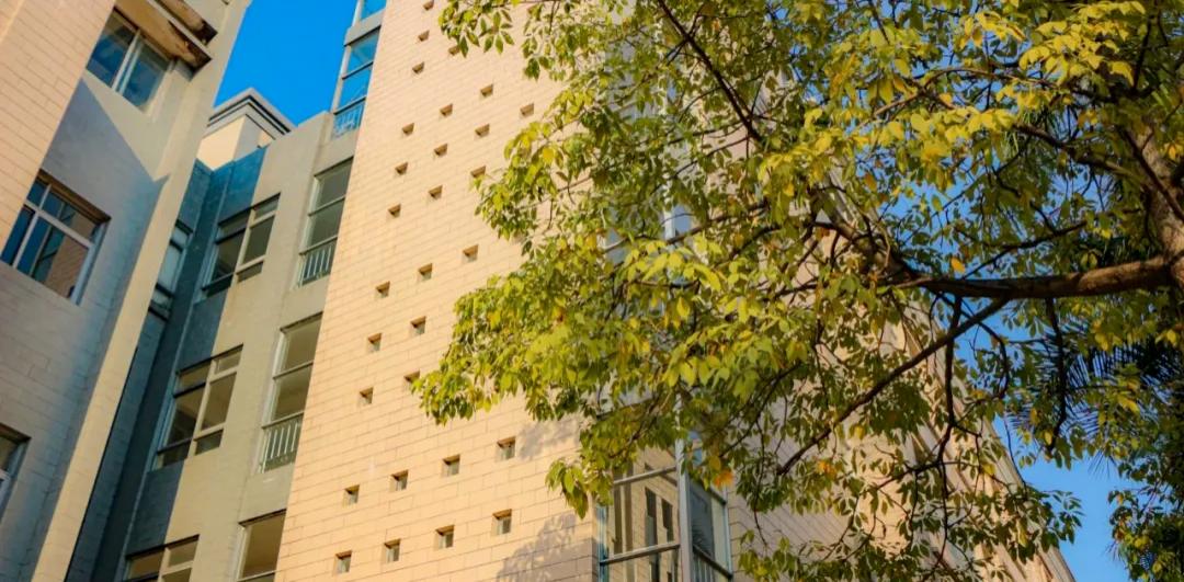 广东超本科线的大专院校排名,广东大专院校排名及分数线