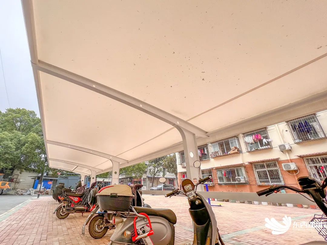 调查问卷发放情况报告,调查问卷100份