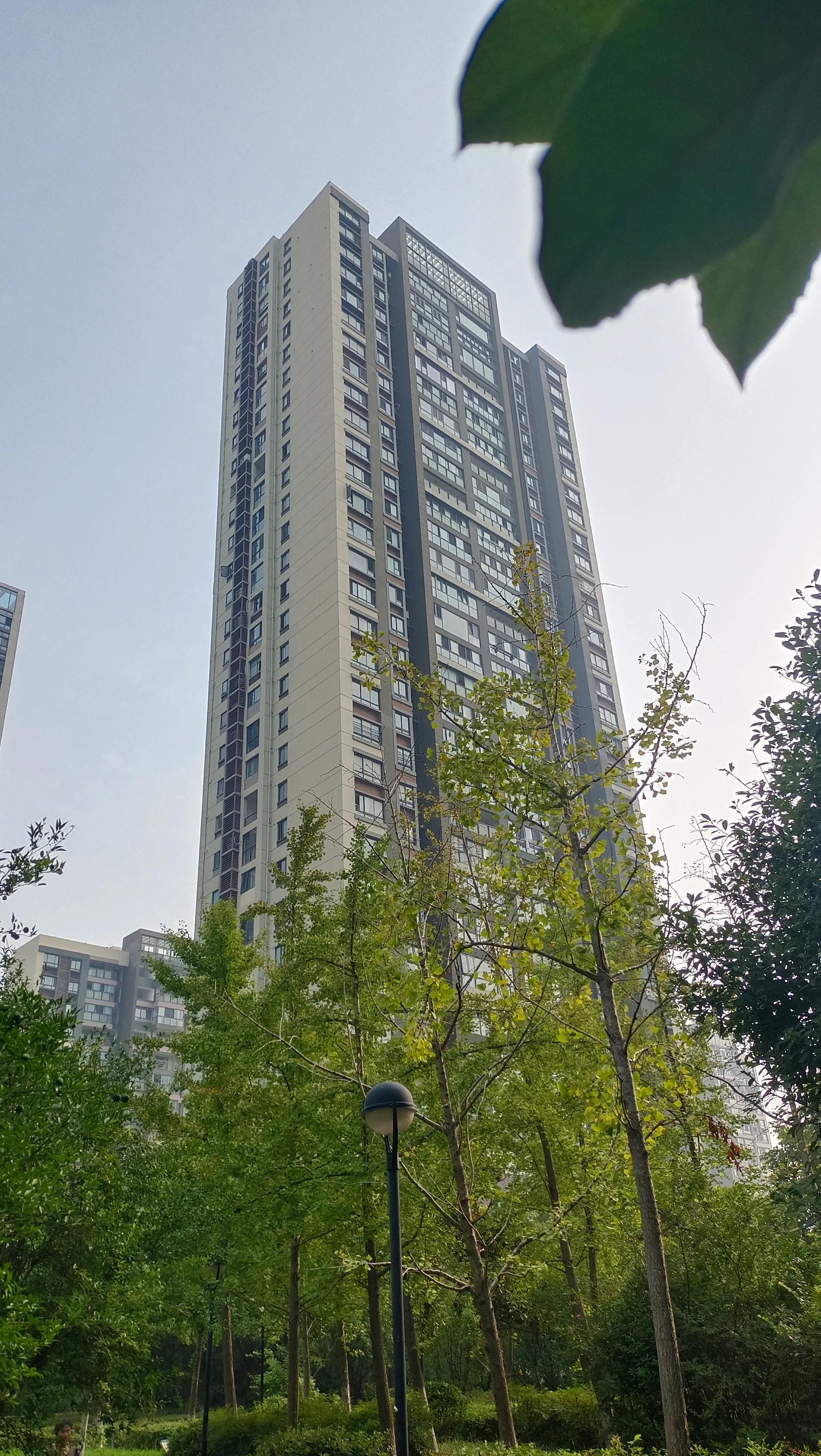 中医辨证尿频的方法,中医对尿频的辨证及治疗药方