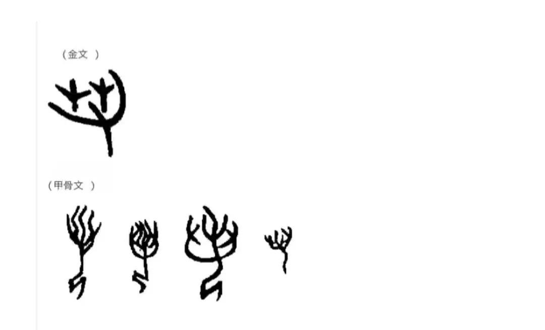 道德经第二十四章国学智慧,道德经第二章辩证法