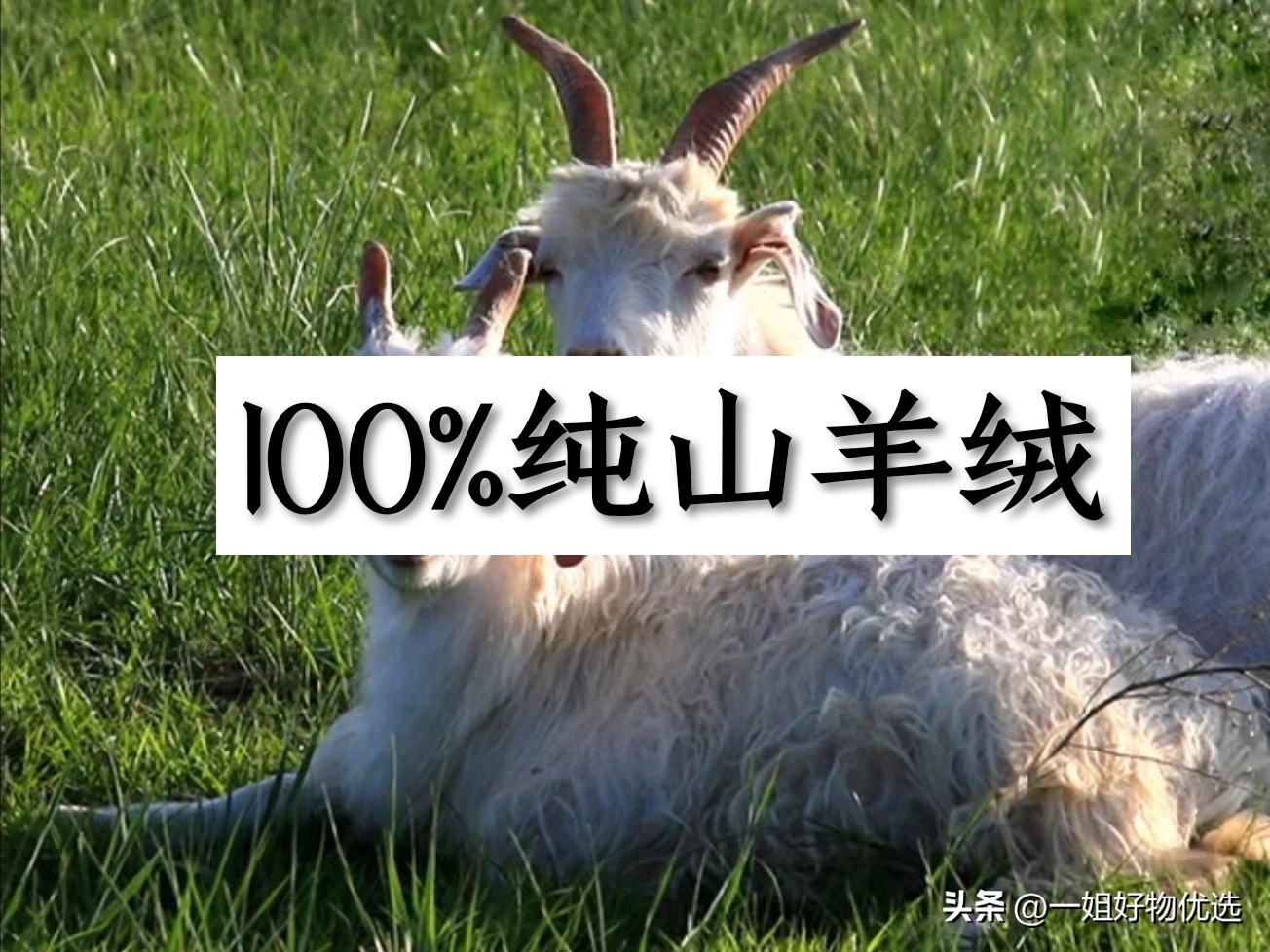 羊绒围巾什么牌子性价比高,男士羊绒围巾排名