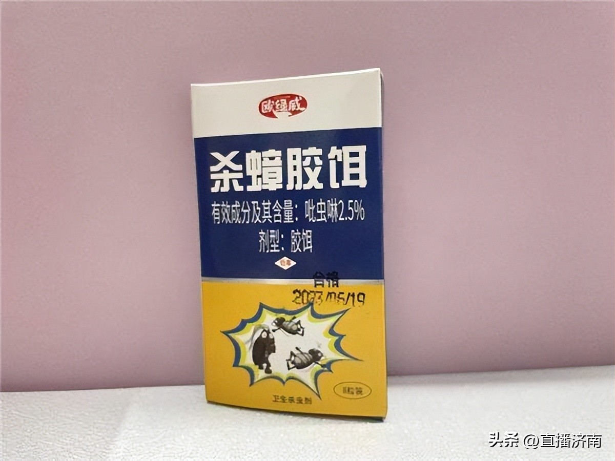 蟑螂最怕一招教你彻底消灭蟑螂,不知道蟑螂在哪里如何消灭