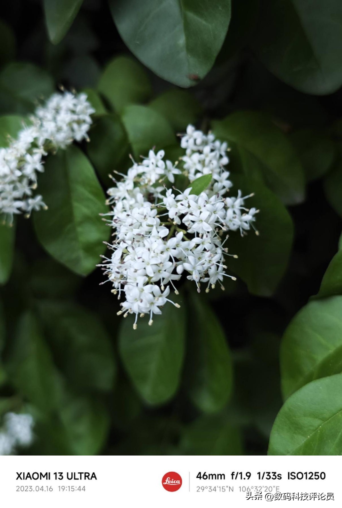 超微距镜头小米13ultra,超越小米13ultra影像