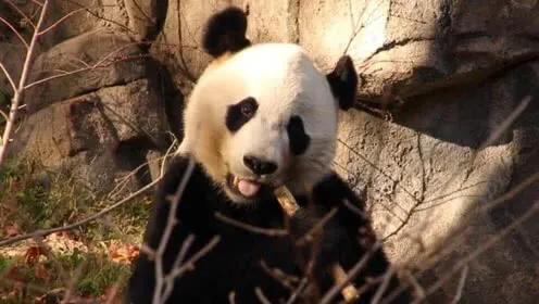 如何稳住一个情绪激动的人,遇到激动的事要怎样缓解情绪