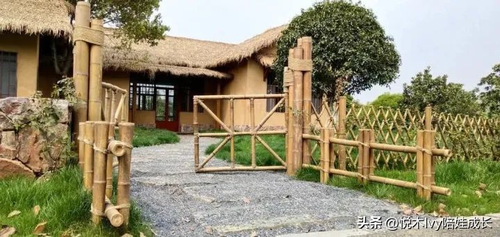 辛弃疾西江月稻花香里说丰年赏析,辛弃疾的西江月稻花香里说丰年