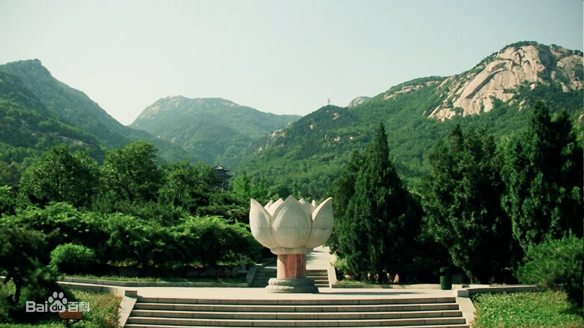 *安泰**第一县争夺战：新泰与肥城，到底谁更有实力问鼎？