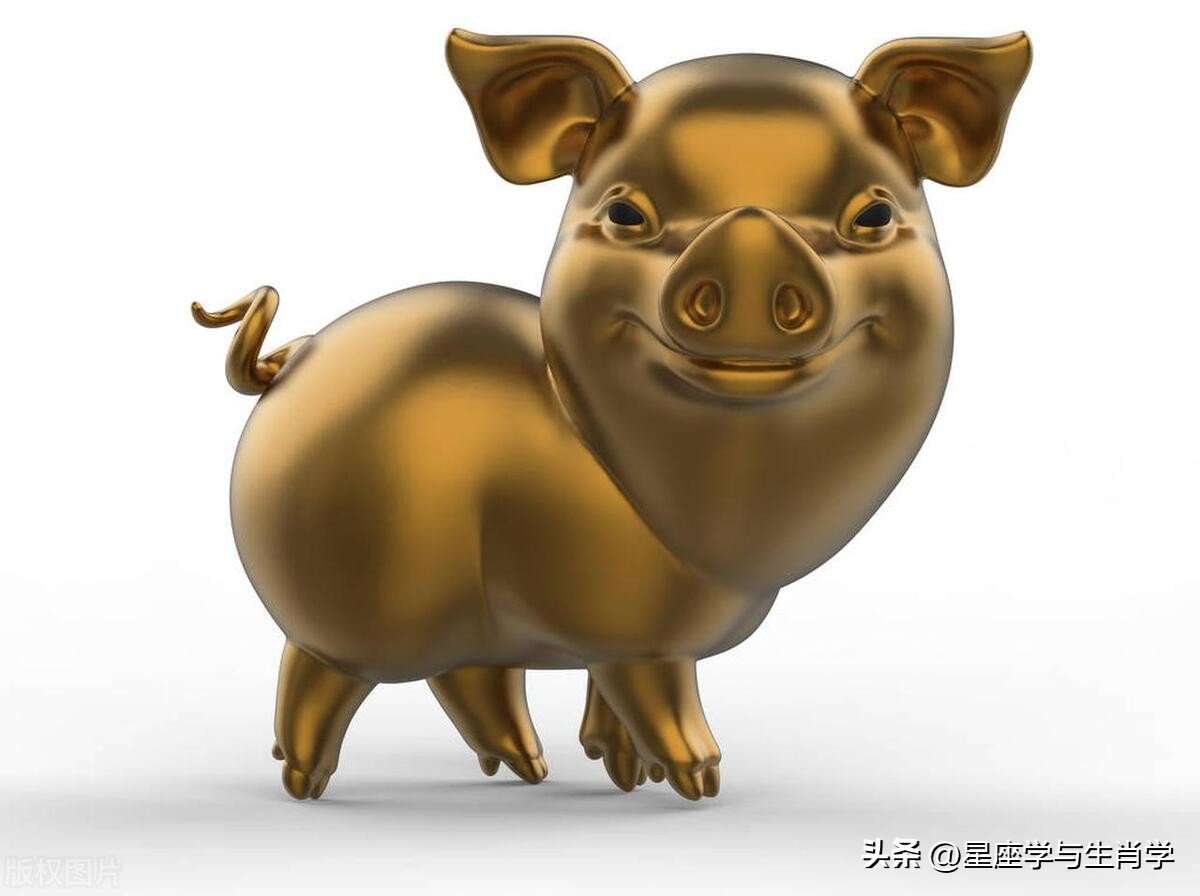 生肖猪财运财富运势如何,生肖猪接福运财运亨通图片