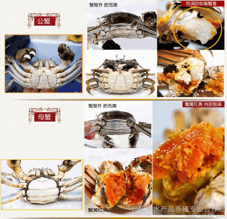 泰州兴化风景,泰州兴化名胜古迹