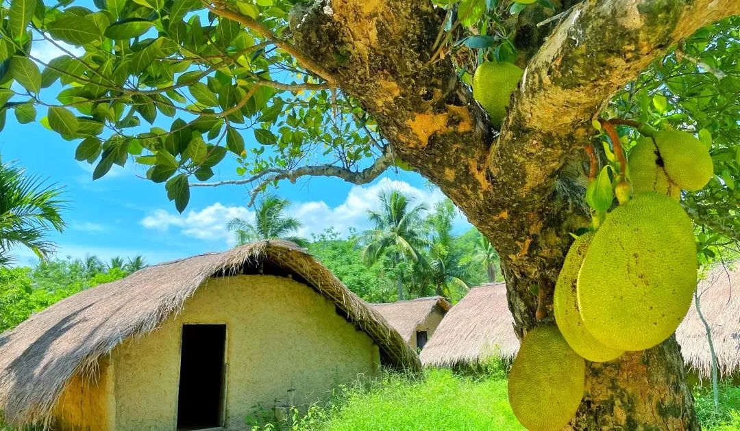 海南环岛自驾游及住宿,海南环岛自驾游美食攻略详细行程