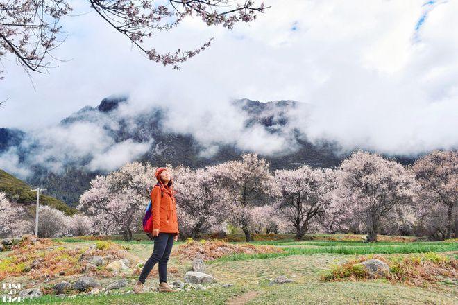 藏江南林芝三日游攻略,入藏先飞林芝游玩攻略