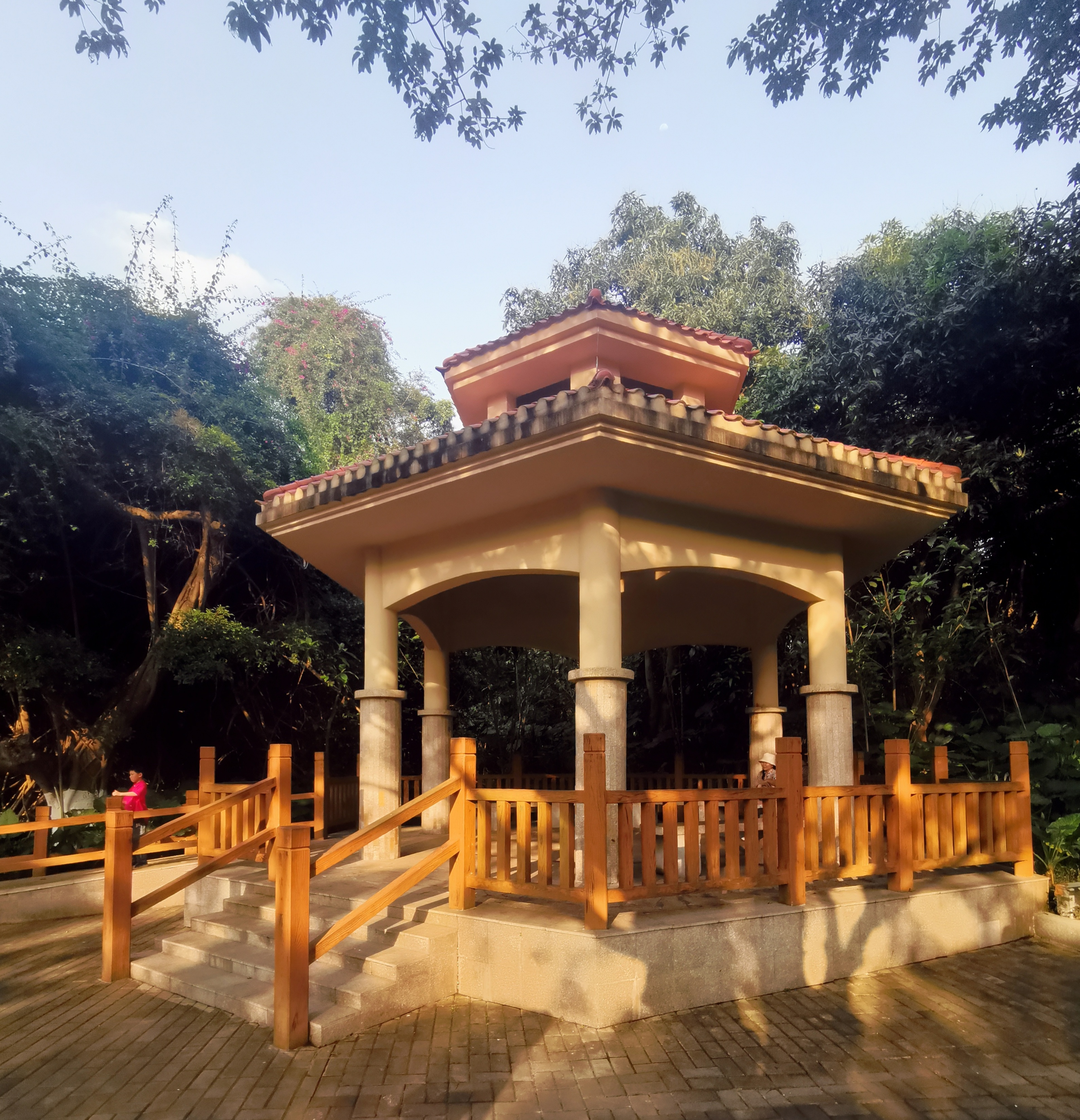 大夫山一日游自由行,大夫山一日游周记