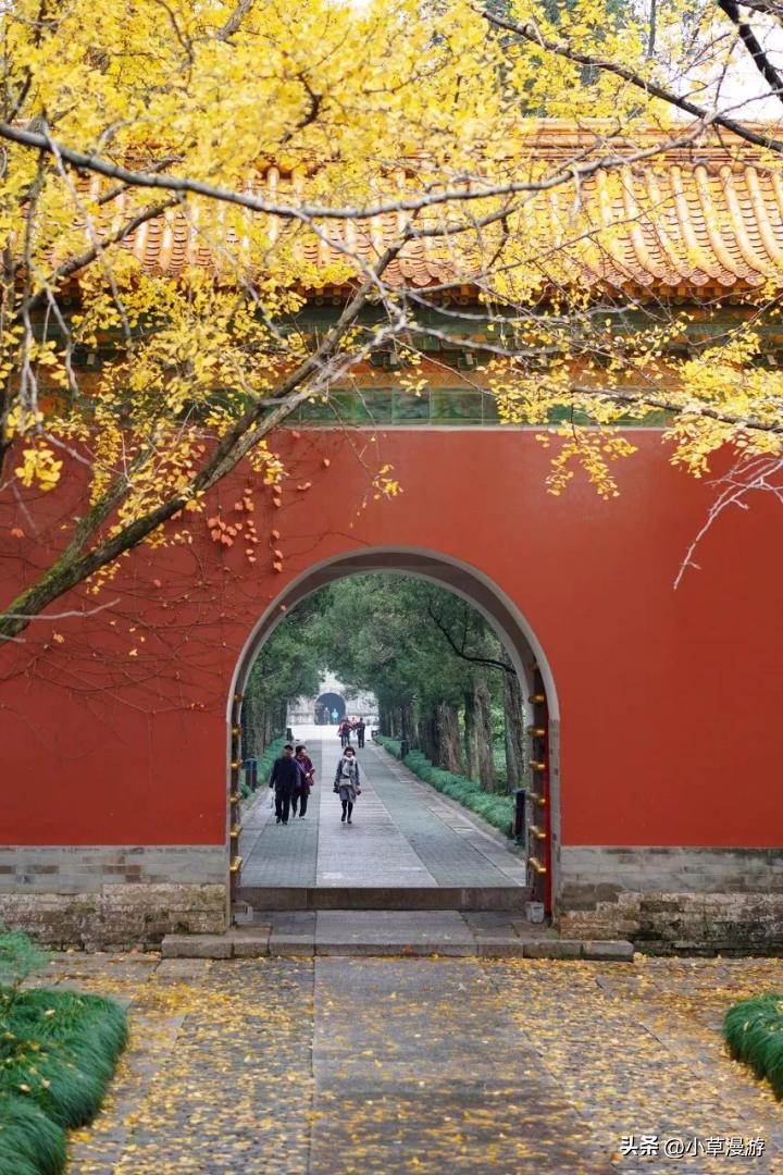 南京秋天旅游攻略路线推荐,南京赏秋景点大全