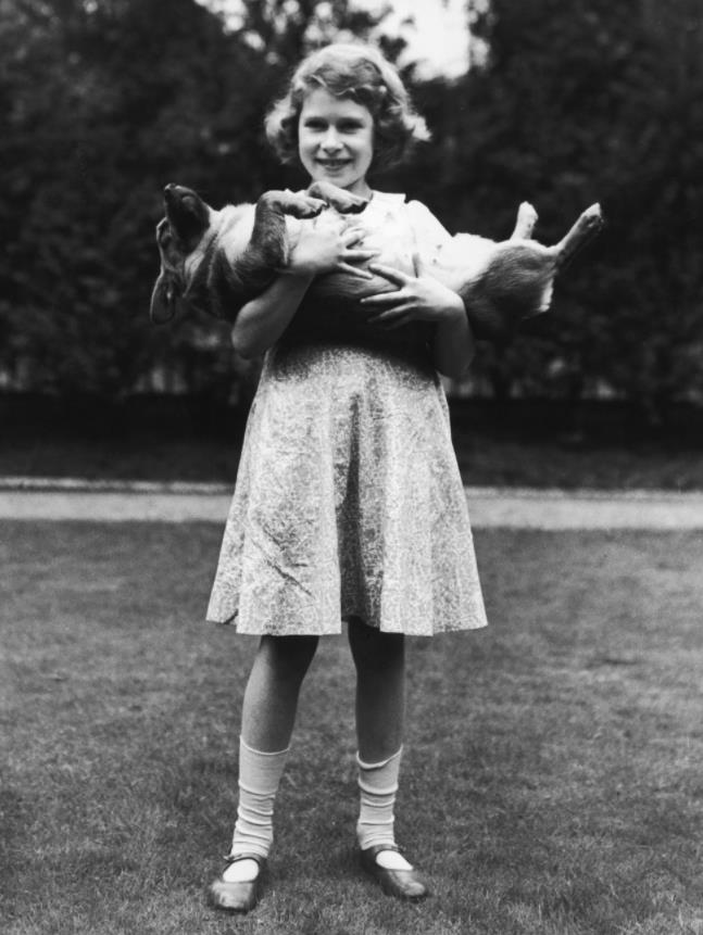 九十六张照片回顾英国女王的一生 (96张图看完英国女王的一生)