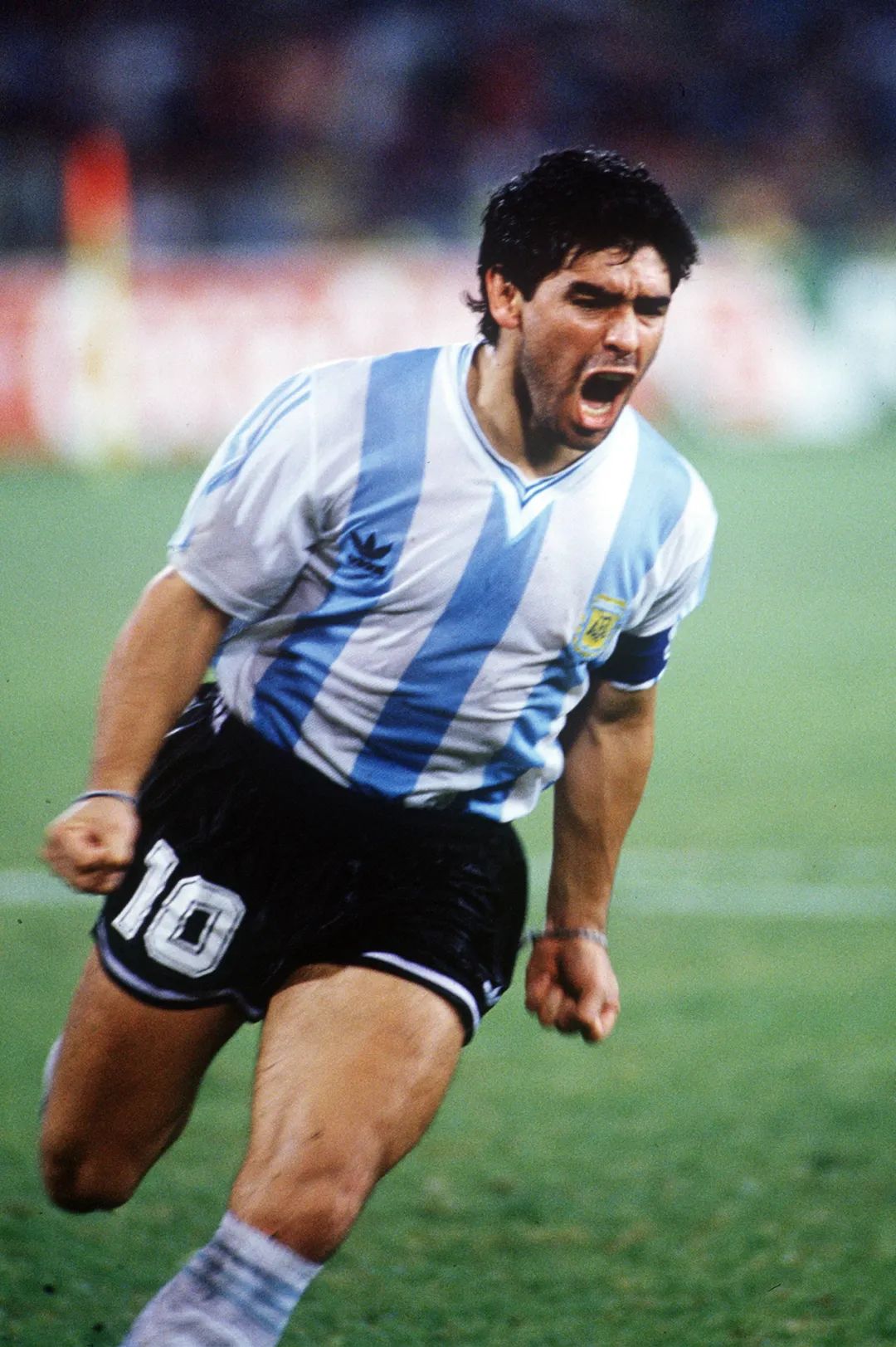 世界杯足球教会我们的道理,足球告诉我们什么道理