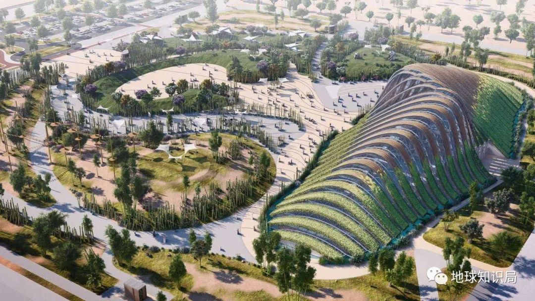 卡塔尔输了荷兰就淘汰了吗,卡塔尔输了还能上场吗